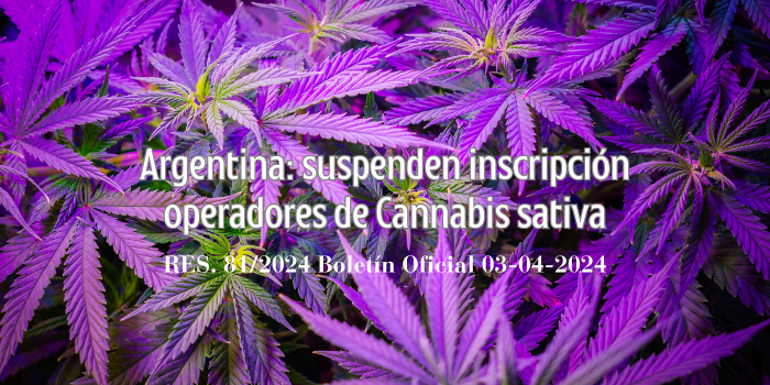 Se suspende la inscripción de operadores de cannabis psicoactivo.